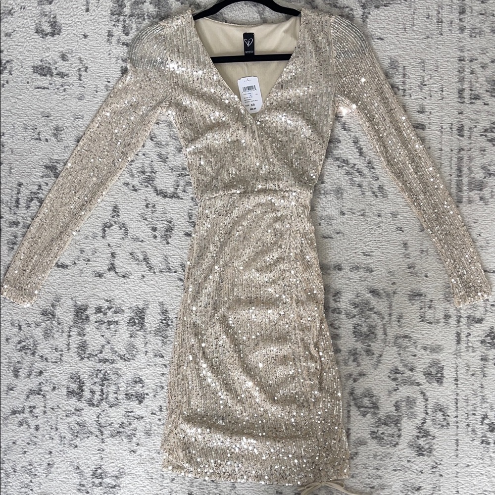 Windsor Shimmering Sequin Long Sleeve Dress